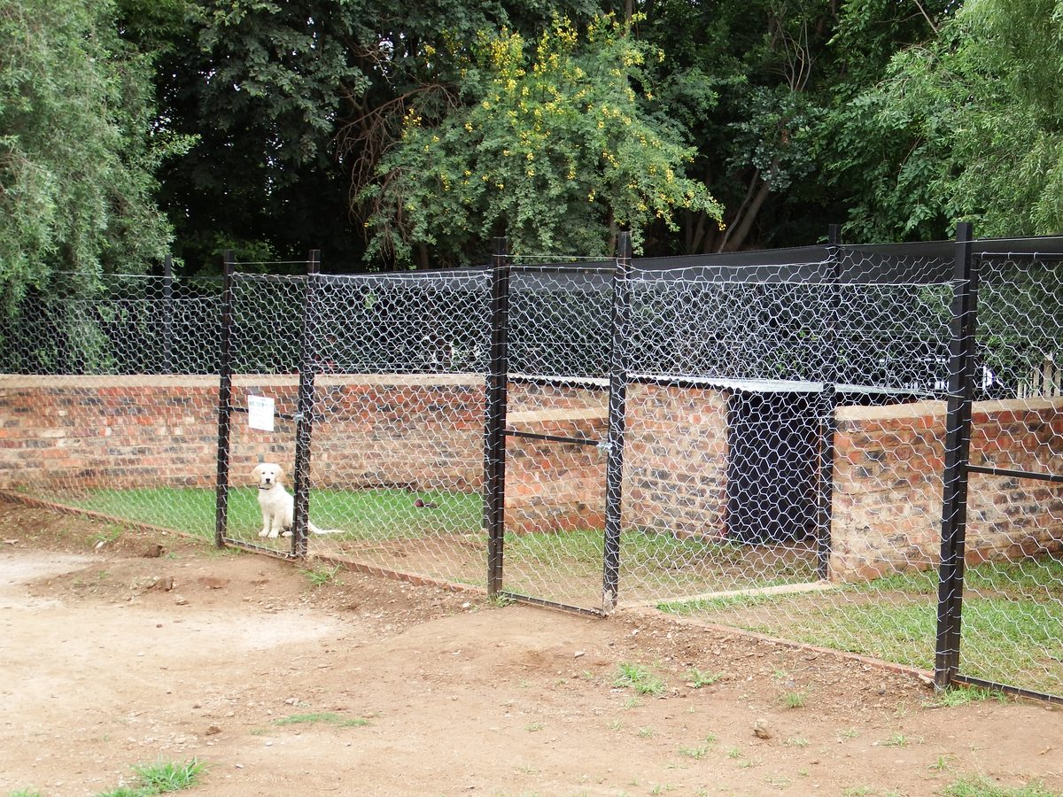 Happy dogs at Delenitor kennels