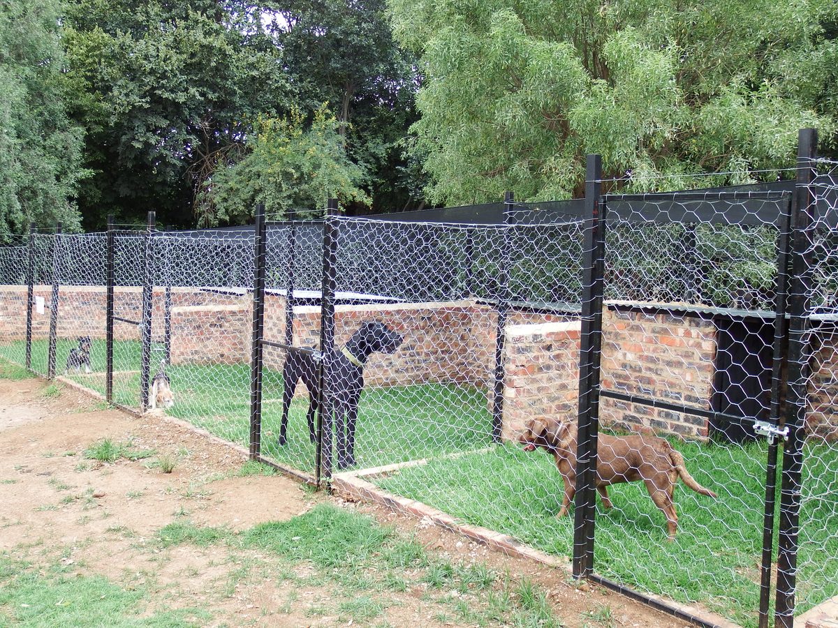 Dog boarding facility Pretoria East